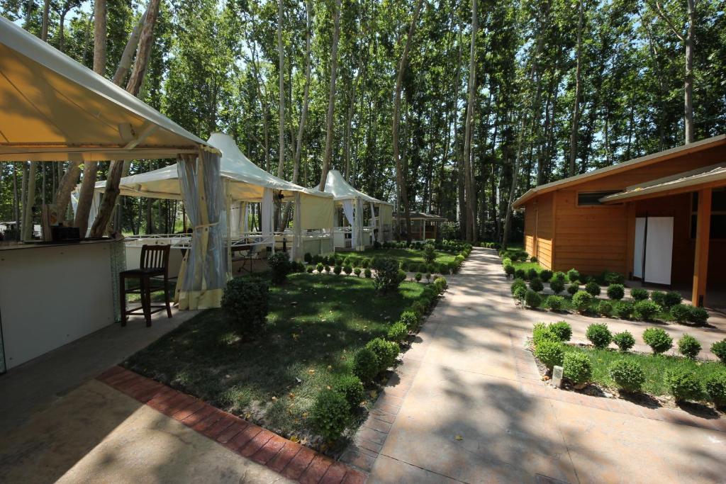 Menada Tarsis Apartments Sunny Beach Eksteriør billede